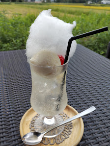 센케 10