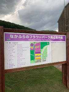 Nakafurano Flower Park 4