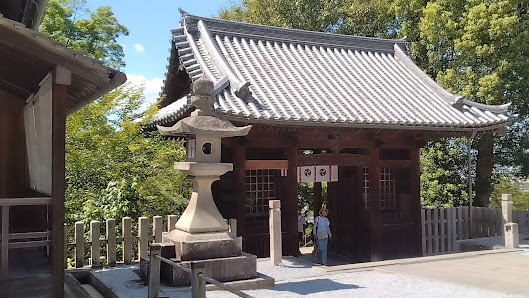 아치신사 11