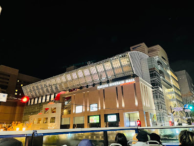 Fukuoka Open Top Bus 4