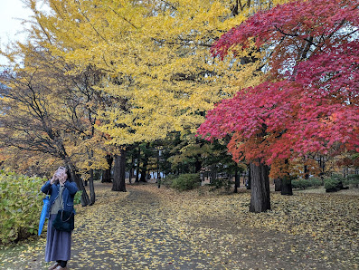 Hokkaido Museum of Literature 6