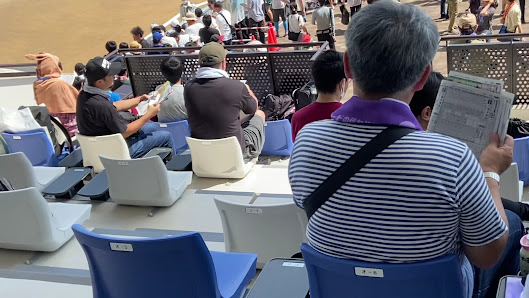 JRA Sapporo Racecourse 3