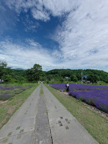 Horomitoge Lavender Garden 4