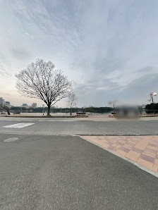 후쿠오카시 미술관 5