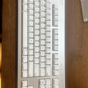 Realforce R3 230/4060 키보드 맥용