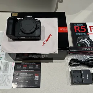 캐논 R6 Mark II R6M2 미러리스 카메라 (5%)