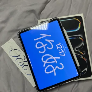 아이패드 프로 11 M4 256GB + 애플펜슬 팝니다