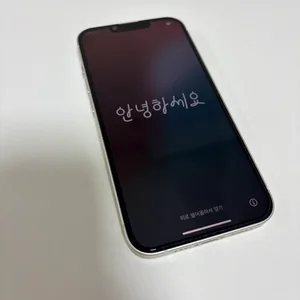 아이폰14 256기가