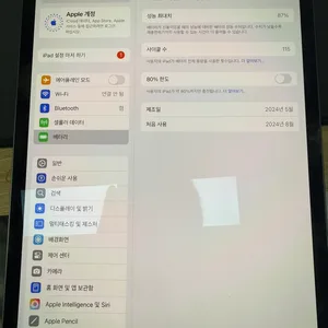 아이패드 프로 11세대 m4 256기가 팝니다
