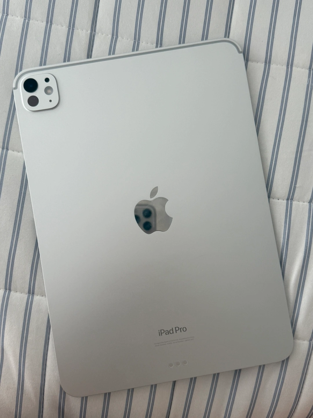 아이패드 프로 M4 11 256GB wifi