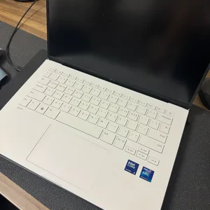 LG 그램 14ZD90S-GX56K 화이트