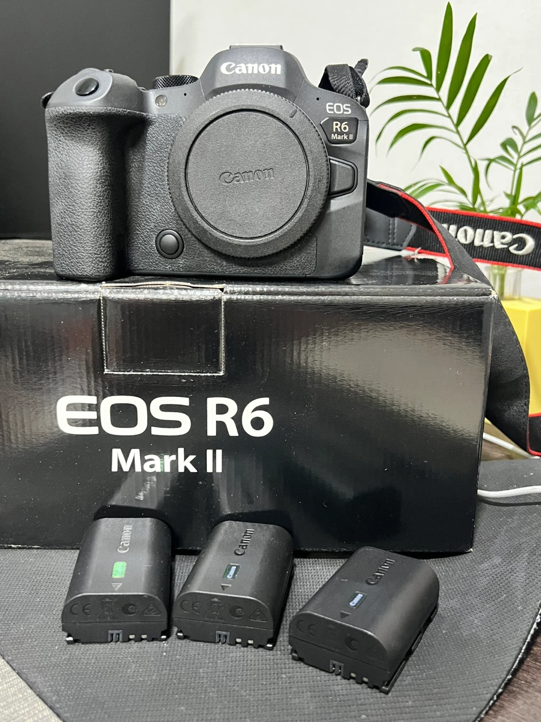 캐논 EOS R6 Mark II 풀박스 (정품 배터리 3개)