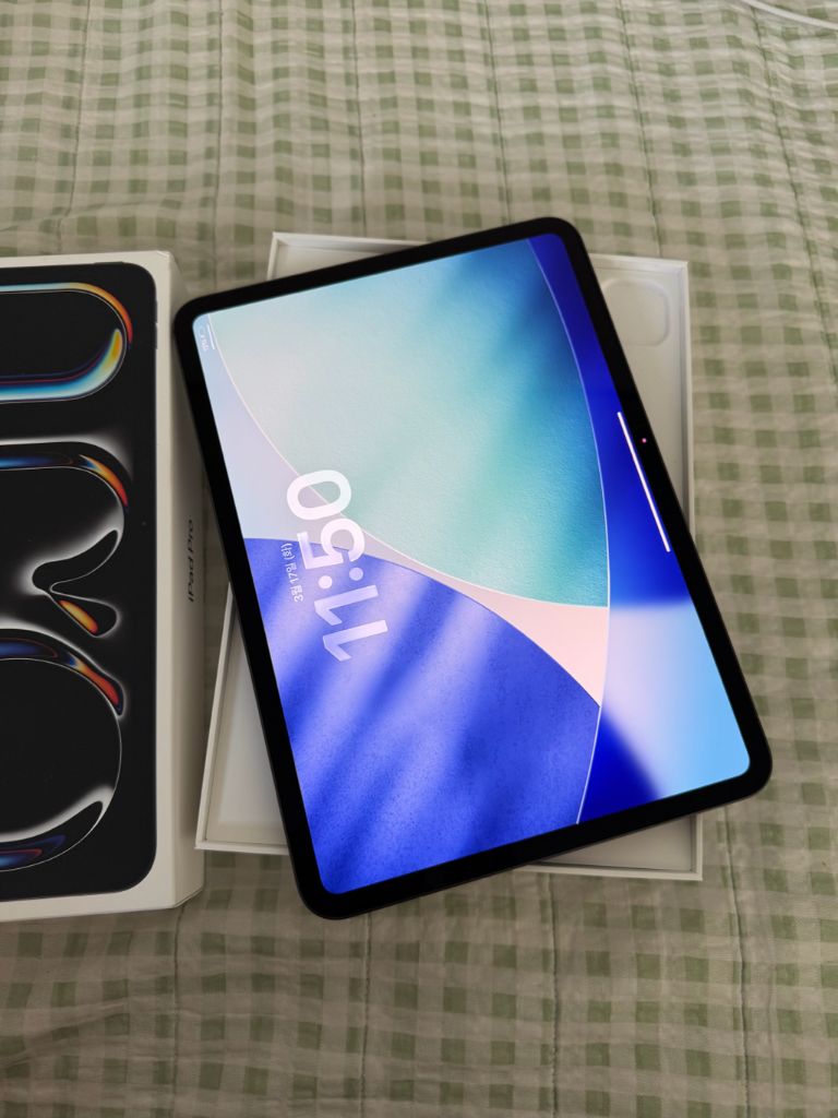아이패드 프로 11 M4 256기가 와이파이