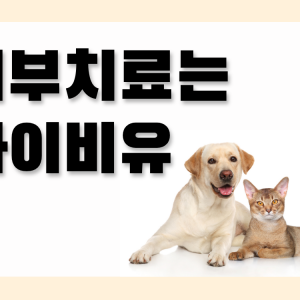 수의사 1:1 피부맞춤 진단 후 동물 피부전문의료기기 처치 — [인천 서구] 아이비유동물병원 [100,000원 상당] 수의사 1:1 피부맞춤 진단 후 동물 피부전문