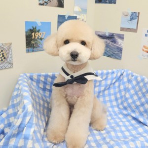스포팅컷 — [경기 하남시] 딤플 [100,000원 상당] 스포팅컷