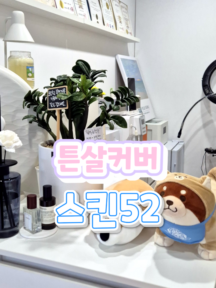 스킨52 부천지부 — [부천] 스킨52 부천지부