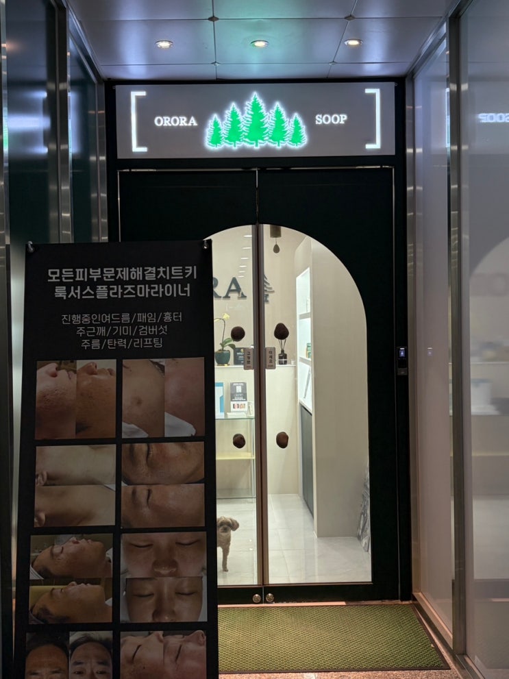 오로라숲 — [전주] 오로라숲