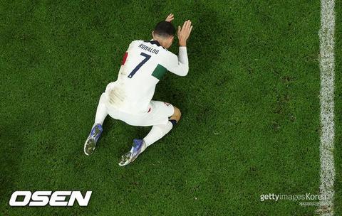 신종 개구리목 개체 발견