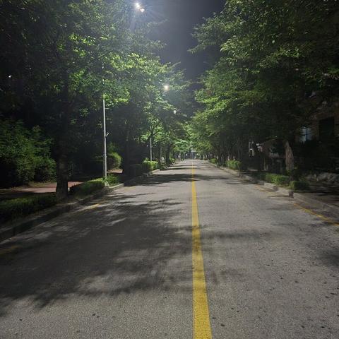 [지식]꿀벌 출퇴근 사고