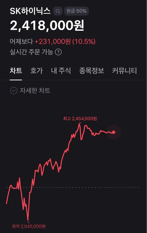 [기타]삼전닉스 레버리지 장기투자