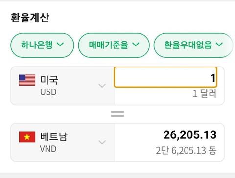 환율 형제의 나라 베트남