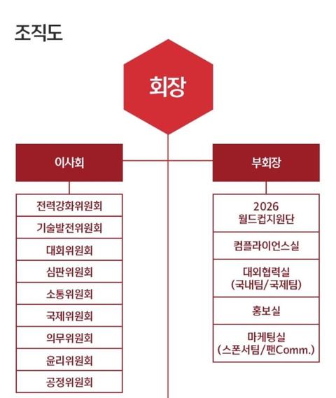 다시보는 축구협회 조직도.jpg
