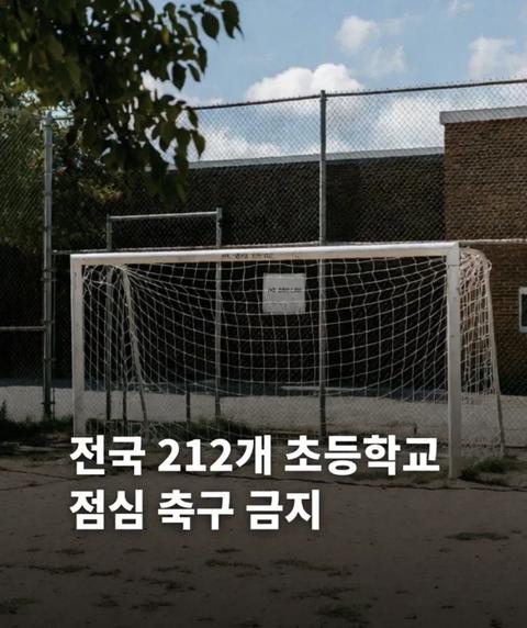 일본 월드컵 4대떡... 대한민국 근황(12)