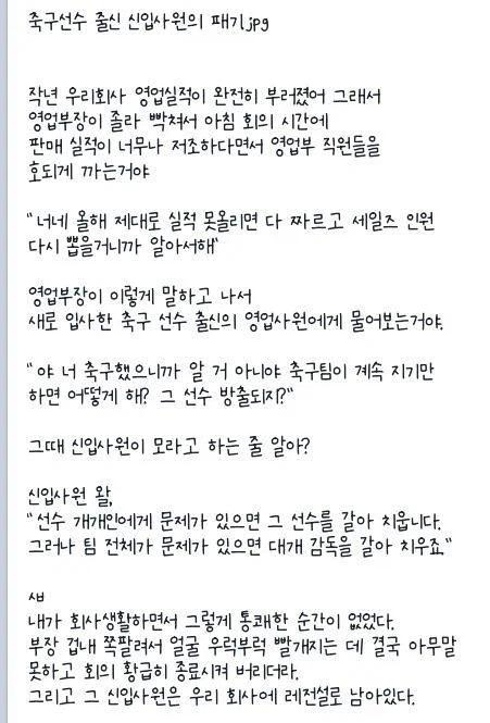 축구선수 출신 신입사원의 패기(15)