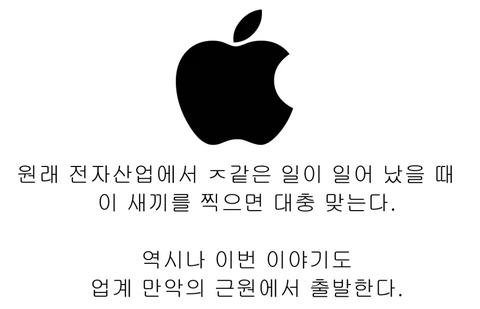 전자제품 산업계에서 애플 이미지 한장요약(16)