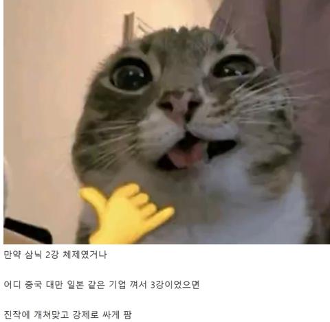 반도체) 마이크론이 미국기업이라 다행인 이유(18)