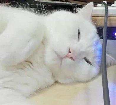 연금이랑 로또 같이 당첨됐다ㅋㅋㅋㅋ(25)