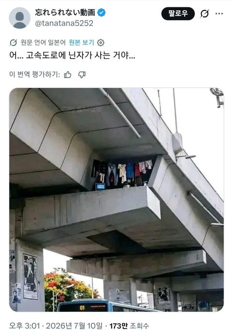 일본의 닌자 근황(31)