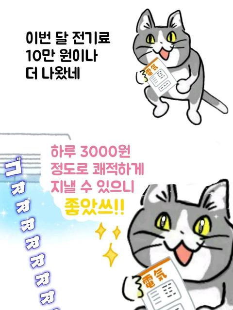 7, 8월에 사람들이 무조건 기억해야 하는 것(40)