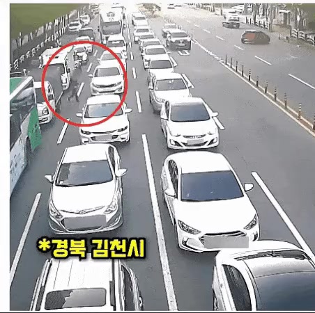 운전자 한테 6000만원 내놓으라는 고라니 아줌마(60)