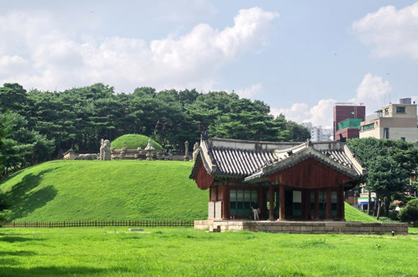 동구릉의 장엄한 능침과 울창한 소나무 숲 전경