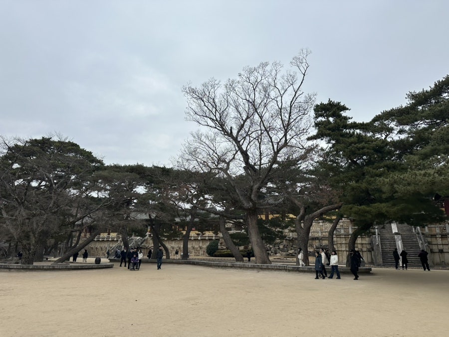 불국사 마당 풍경