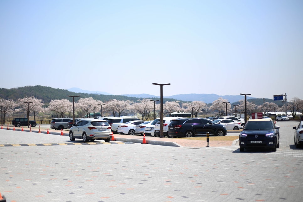 동궁과 월지 주차장